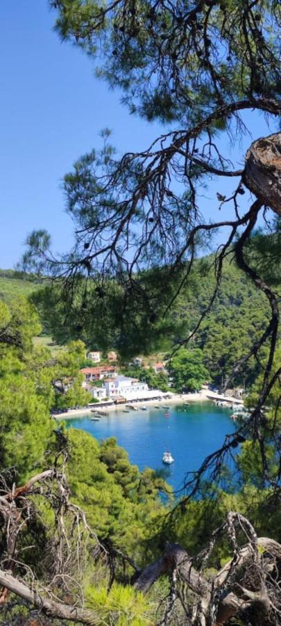 Skopelos Country House Diamantis & Chrisi Agnontas Buitenkant foto
