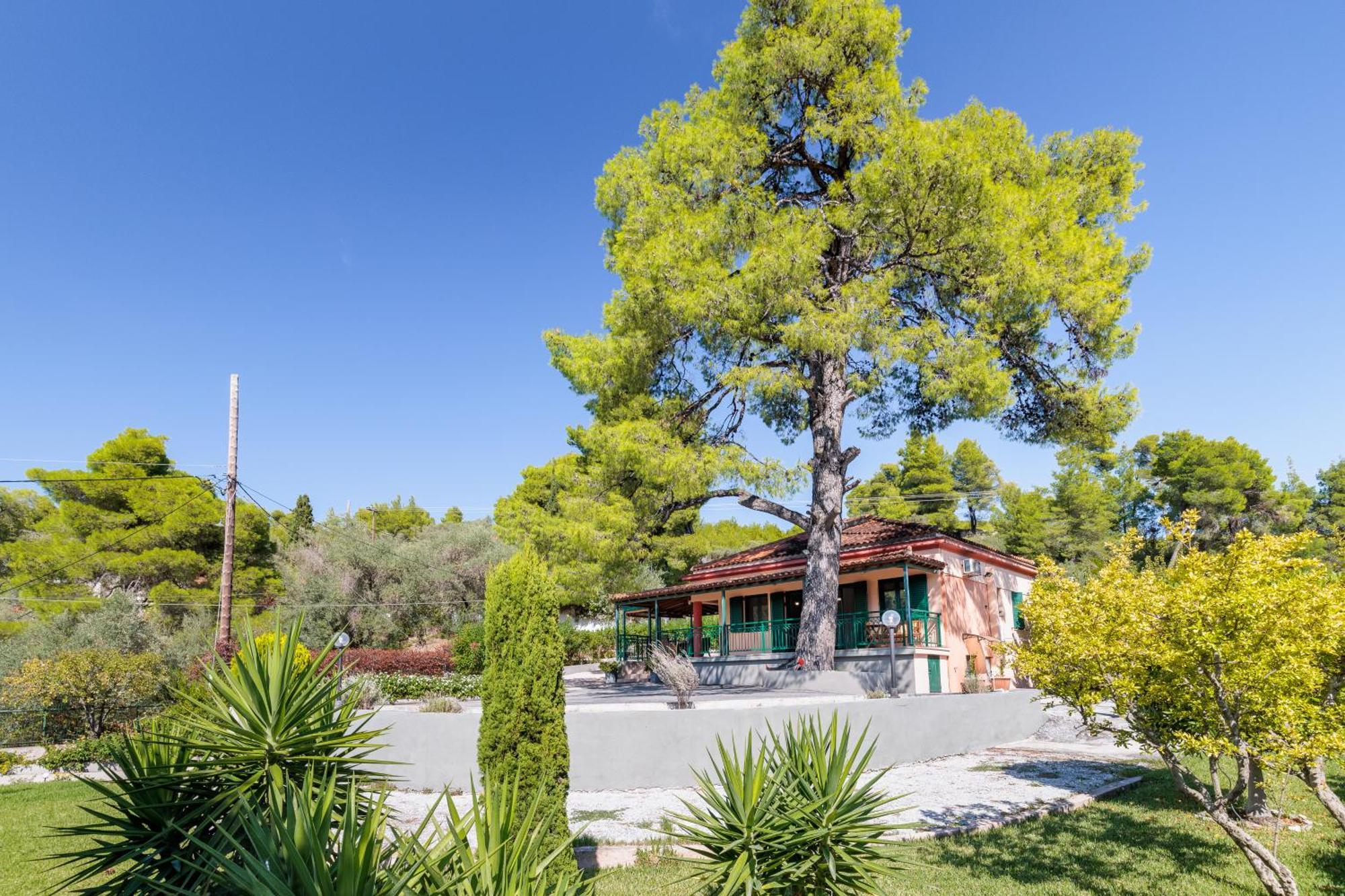 Skopelos Country House Diamantis & Chrisi Agnontas Buitenkant foto